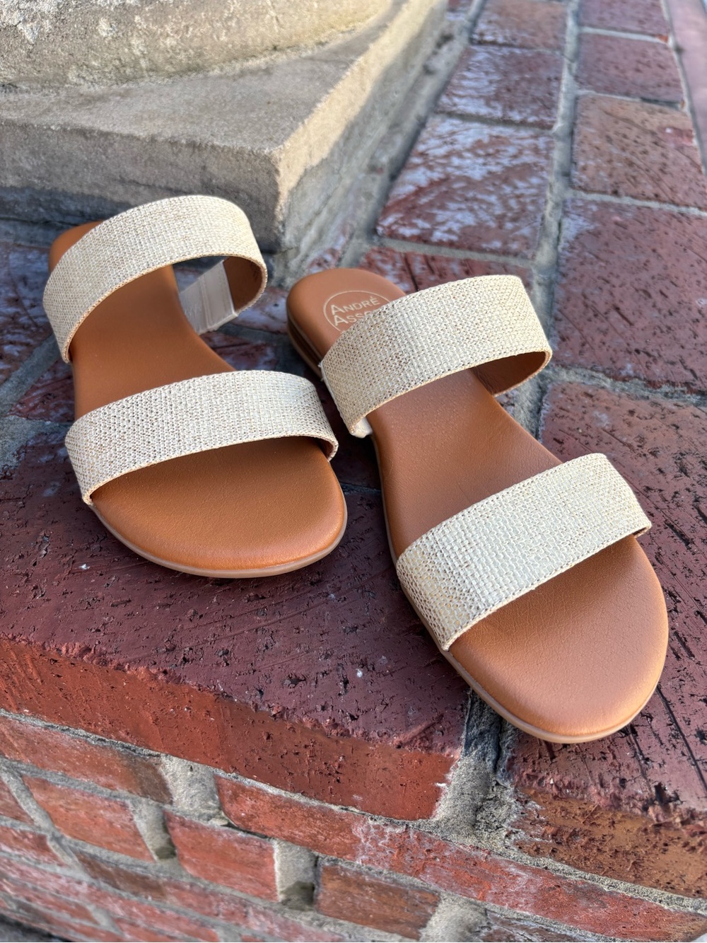 Andre Assous Slides size 8 M